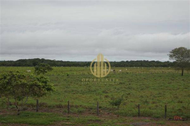 Imagem Fazenda à Venda, 1.000 m² em Centro - São Miguel Do Araguaia Imagem Fazenda à Venda, 1.000 m² em Centro - São Miguel Do Araguaia