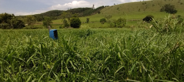 Imagem Fazenda à Venda, 150 m² em Parque Das Alamedas - Guaratinguetá