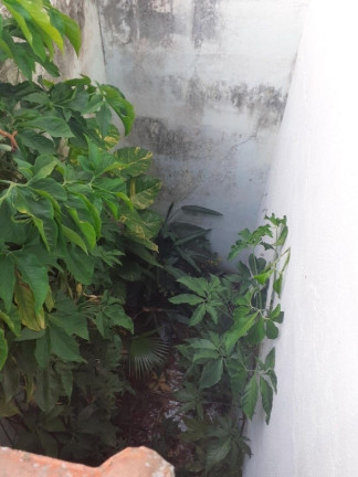 Imagem Terreno à Venda, 175 m² em Vila Margarida - São Vicente Imagem Terreno à Venda, 175 m² em Vila Margarida - São Vicente