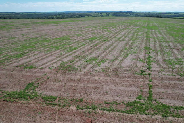 Imagem Fazenda à Venda, 74 m² em Zona Rural - Prata