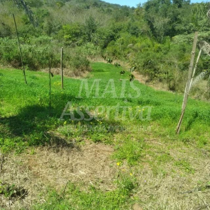 Imagem Terreno à Venda, em Santa Cruz Da Concórdia - Taquara Imagem Terreno à Venda, em Santa Cruz Da Concórdia - Taquara