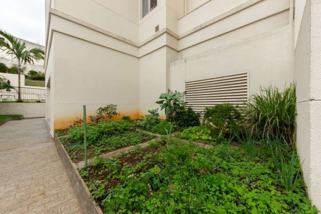Imagem Apartamento com 3 Quartos à Venda, 85 m² em Vila Da Saúde - São Paulo Imagem Apartamento com 3 Quartos à Venda, 85 m² em Vila Da Saúde - São Paulo