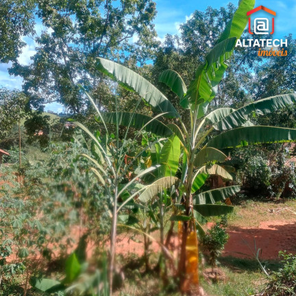 Imagem Imóvel com 2 Quartos à Venda, 5.000 m² em Bairro Capituvas - Bandeira Do Sul Imagem Imóvel com 2 Quartos à Venda, 5.000 m² em Bairro Capituvas - Bandeira Do Sul