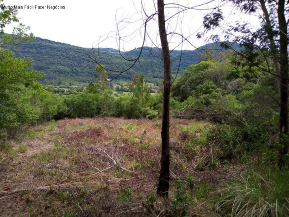 Imagem Terreno à Venda, 6 m² em Linha Temerária - Nova Petrópolis