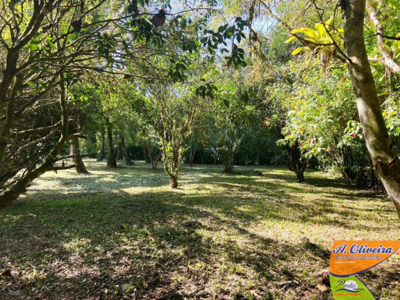 Imagem Chácara com 1 Quarto à Venda, 100 m² em Ubatumirim - Ubatuba