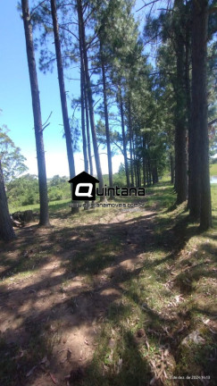 Imagem Imóvel com 2 Quartos à Venda, 50.000 m² em Capela Da Buena - Morro Redondo