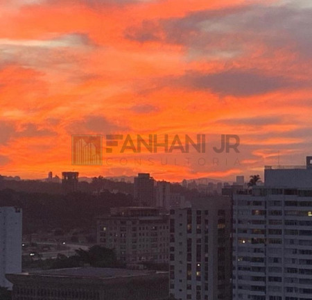 Imagem Imóvel com 4 Quartos à Venda, 245 m² em Jardim Europa - São Paulo Imagem Imóvel com 4 Quartos à Venda, 245 m² em Jardim Europa - São Paulo