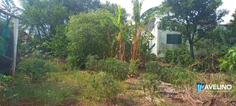 Imagem Terreno à Venda, 1.320 m² em Monte Castelo - Campo Grande Imagem Terreno à Venda, 1.320 m² em Monte Castelo - Campo Grande