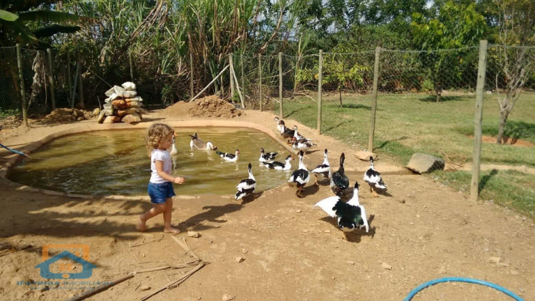 Imagem Chácara à Venda, 5.000 m² em Centro - Bom Jesus Do Galho Imagem Chácara à Venda, 5.000 m² em Centro - Bom Jesus Do Galho