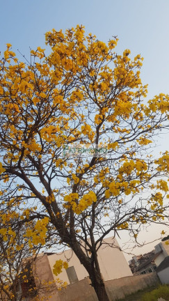 Imagem Terreno à Venda, 250 m² em Residencial Reserva Da Barra - Jaguariúna Imagem Terreno à Venda, 250 m² em Residencial Reserva Da Barra - Jaguariúna