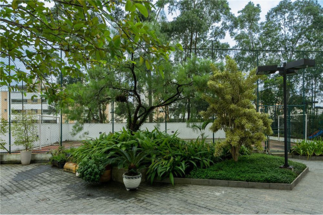 Imagem Apartamento com 3 Quartos à Venda, 185 m² em Vila Suzana - São Paulo Imagem Apartamento com 3 Quartos à Venda, 185 m² em Vila Suzana - São Paulo