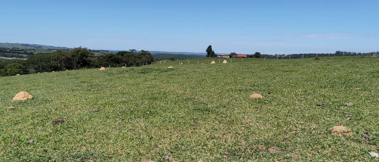 Imagem Fazenda à Venda, 1.016 m² em Bairro Dos Leites - Piedade Imagem Fazenda à Venda, 1.016 m² em Bairro Dos Leites - Piedade