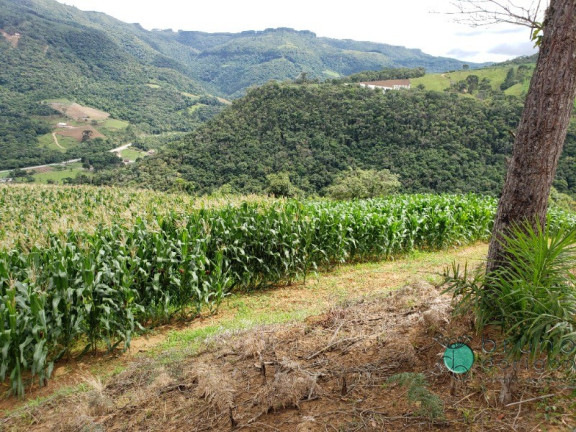 Imagem Imóvel com 1 Quarto à Venda, 60.000 m² em Zona Rural - Alfredo Wagner