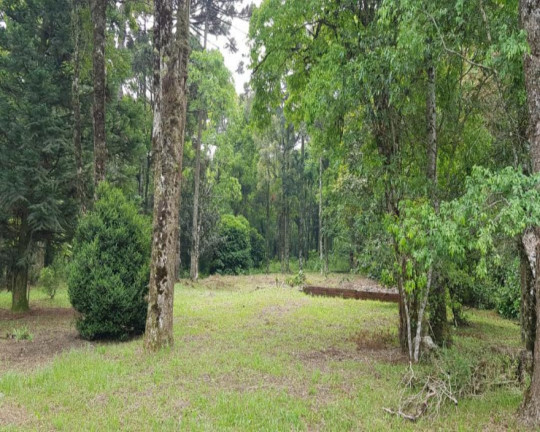Imovel