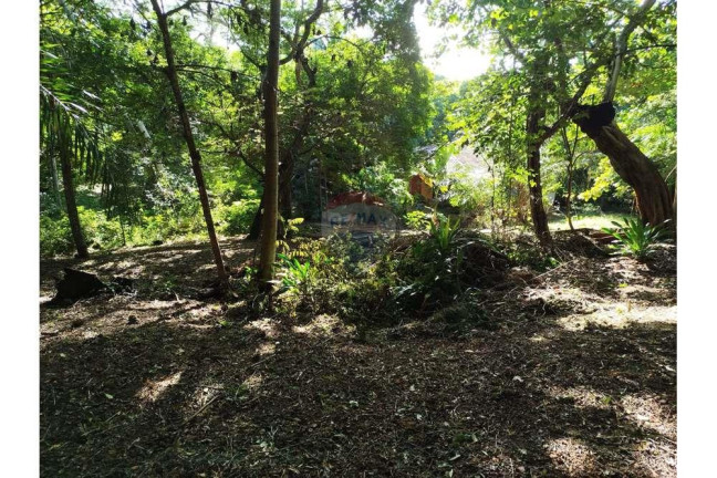Imagem Terreno à Venda, 600 m² em Praia Do Forte - Mata De São João Imagem Terreno à Venda, 600 m² em Praia Do Forte - Mata De São João