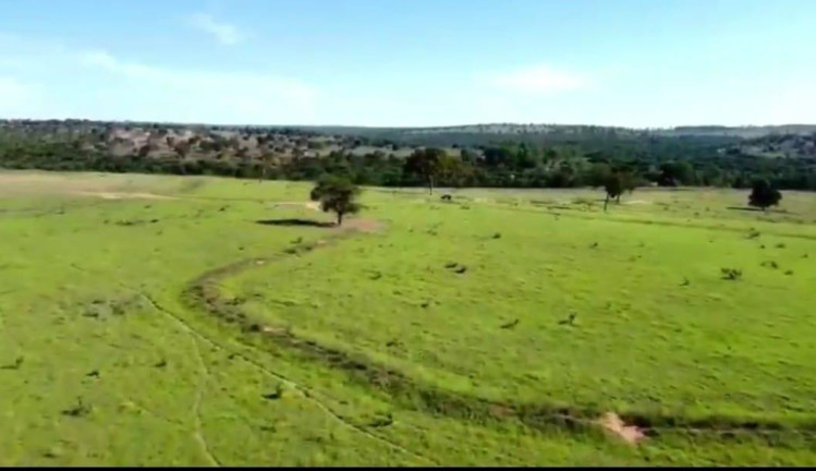 Imagem Fazenda à Venda, 4.534 m² em Rural - Camapuã Imagem Fazenda à Venda, 4.534 m² em Rural - Camapuã