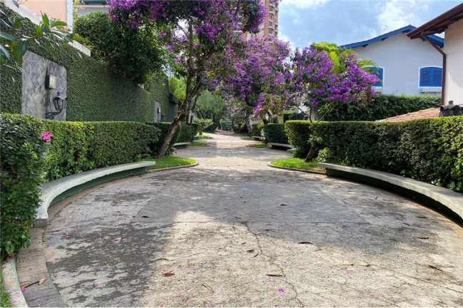 Imagem Casa com 3 Quartos à Venda, 135 m² em Morumbi - São Paulo