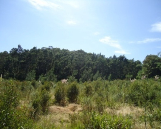 Imagem Terreno à Venda, 4 m² em Morro Da Fome - Nova Petrópolis Imagem Terreno à Venda, 4 m² em Morro Da Fome - Nova Petrópolis