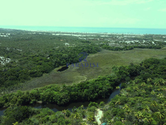 Imagem Terreno à Venda, 6.000 m² em Diogo - Mata De São João Imagem Terreno à Venda, 6.000 m² em Diogo - Mata De São João