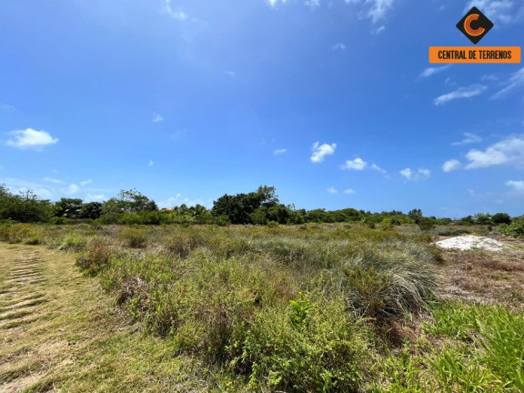 Imagem Terreno à Venda, 2.500 m² em Jacuipe Country - Camaçari Imagem Terreno à Venda, 2.500 m² em Jacuipe Country - Camaçari