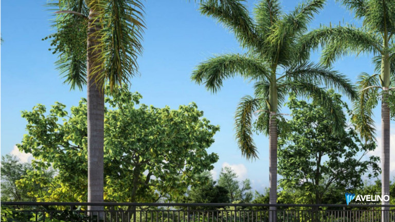 Imagem Terreno à Venda, 240 m² em Vivere Da Mata  - Dourados