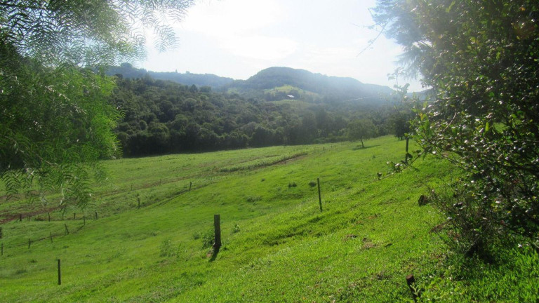 Imagem Terreno à Venda, 177.000 m² em Interior - Concórdia Imagem Terreno à Venda, 177.000 m² em Interior - Concórdia
