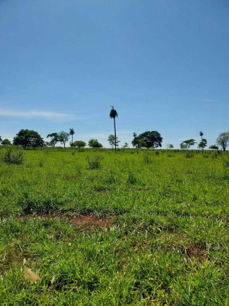 Imagem Chácara com 2 Quartos à Venda, 120 m² em área Rural  - Terenos