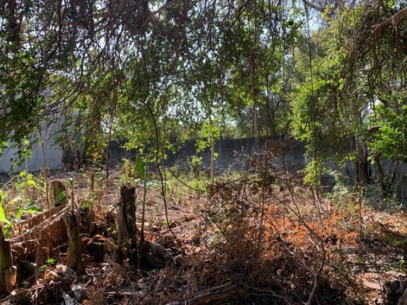 Imagem Terreno à Venda, em Alto Do Cardoso - Pindamonhangaba Imagem Terreno à Venda, em Alto Do Cardoso - Pindamonhangaba