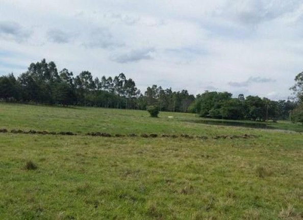 Imagem Chácara à Venda, 65 m² em Rural - Campina Do Monte Alegre Imagem Chácara à Venda, 65 m² em Rural - Campina Do Monte Alegre