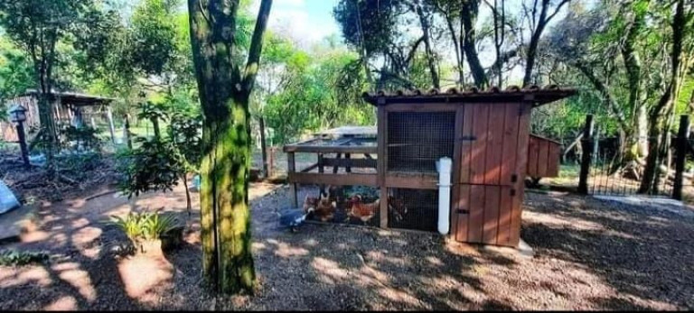 Imagem Imóvel com 3 Quartos à Venda, 100 m² em Ruaral - Araricá