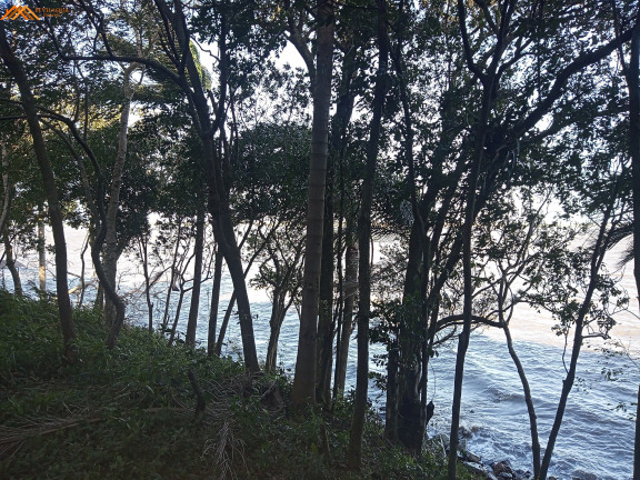 Imagem Imóvel com 2 Quartos à Venda, em Itaguaçu - Imaruí Imagem Imóvel com 2 Quartos à Venda, em Itaguaçu - Imaruí