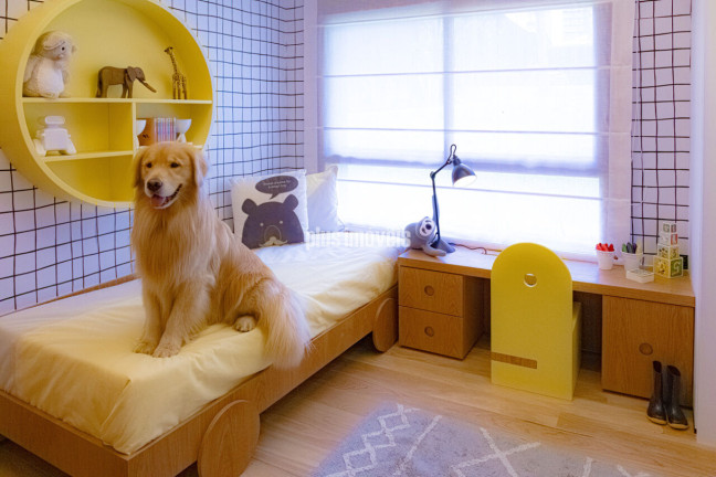 Imagem Apartamento com 3 Quartos à Venda, 211 m² em Campo Belo - São Paulo Imagem Apartamento com 3 Quartos à Venda, 211 m² em Campo Belo - São Paulo