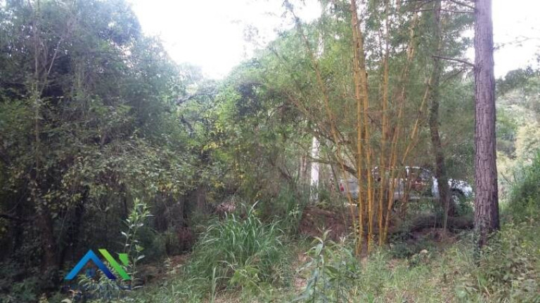 Imagem Terreno à Venda, 1.439 m² em Estância São Paulo - Campo Limpo Paulista Imagem Terreno à Venda, 1.439 m² em Estância São Paulo - Campo Limpo Paulista