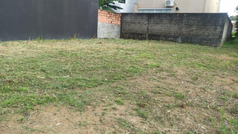 Imagem Terreno à Venda, 250 m² em Ponta Negra - Manaus Imagem Terreno à Venda, 250 m² em Ponta Negra - Manaus
