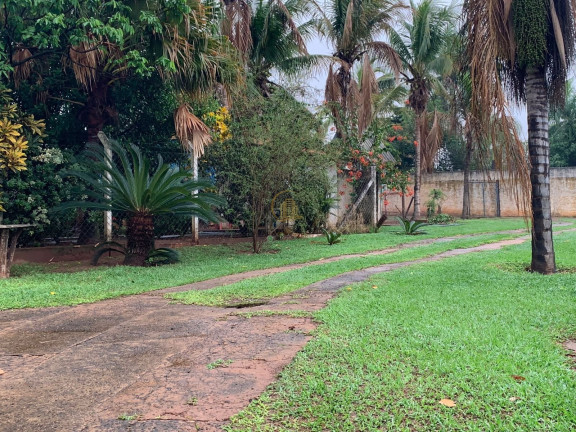 Imagem Imóvel com 5 Quartos à Venda, em Vila Azul - Sao Jose Do Rio Preto Imagem Imóvel com 5 Quartos à Venda, em Vila Azul - Sao Jose Do Rio Preto
