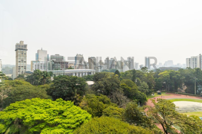 Imagem Imóvel com 3 Quartos para Alugar, 350 m² em Jardim Europa - São Paulo