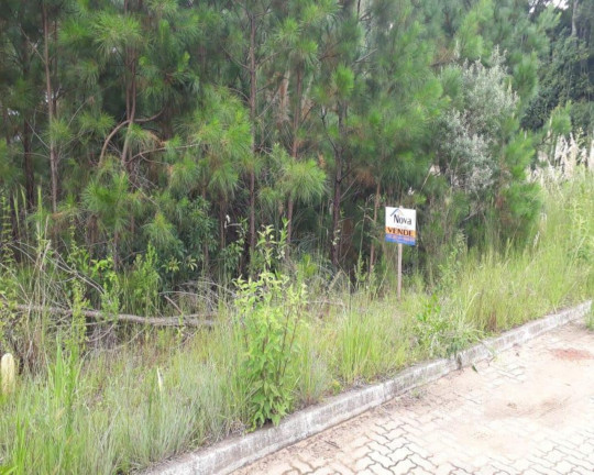 Imagem Imóvel à Venda, 384 m² em Vila Germânia - Nova Petrópolis