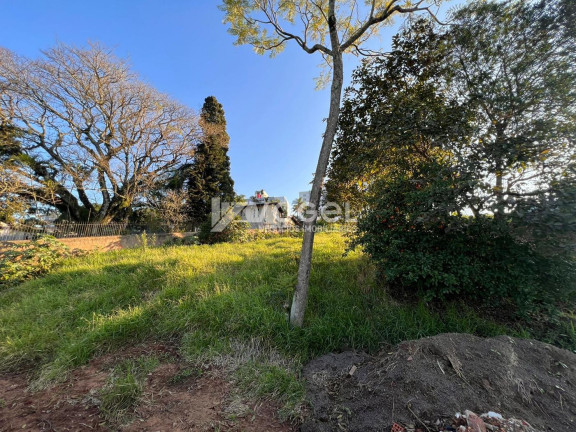 Imagem Imóvel à Venda, 2.925 m² em Rondônia - Novo Hamburgo Imagem Imóvel à Venda, 2.925 m² em Rondônia - Novo Hamburgo