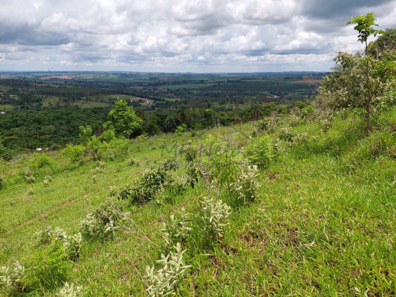Imagem Fazenda à Venda, 121.000 m² em área Rural De Pirassununga - Pirassununga Imagem Fazenda à Venda, 121.000 m² em área Rural De Pirassununga - Pirassununga
