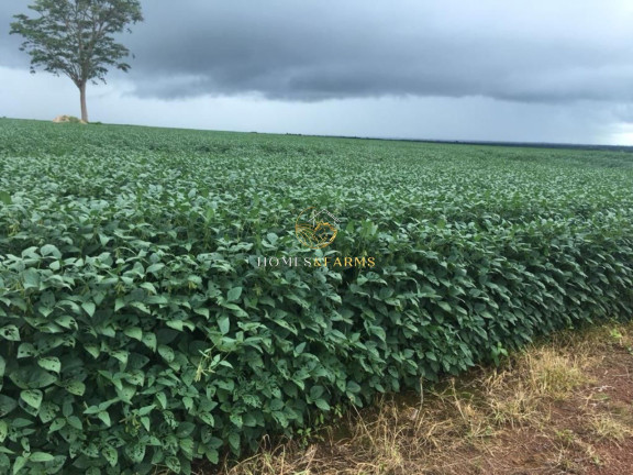 Imagem Imóvel com 3 Quartos à Venda, 17.897 m² em Zona Rural - água Boa Imagem Imóvel com 3 Quartos à Venda, 17.897 m² em Zona Rural - água Boa