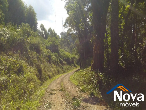 Imagem Imóvel à Venda, em Nove Colônias - Nova Petrópolis Imagem Imóvel à Venda, em Nove Colônias - Nova Petrópolis