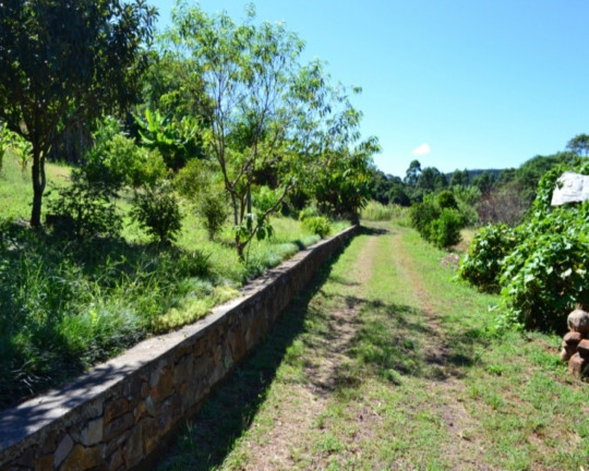 Imagem Imóvel à Venda,  em Serra Verde - Picada Café