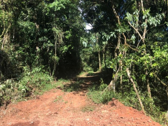 Terreno à Venda, 3 m² em Linha Olinda - Nova Petrópolis
