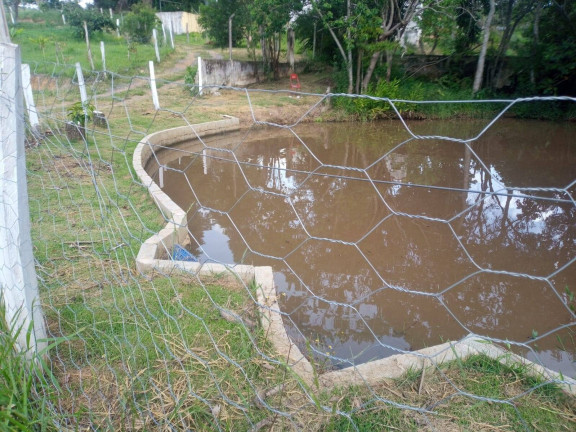 Imagem Chácara com 3 Quartos à Venda, 160 m² em Curitibanos - Bragança Paulista