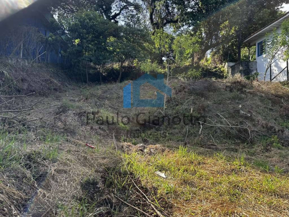 Imagem Terreno à Venda, 1.319 m² em Parque São George - Cotia Imagem Terreno à Venda, 1.319 m² em Parque São George - Cotia
