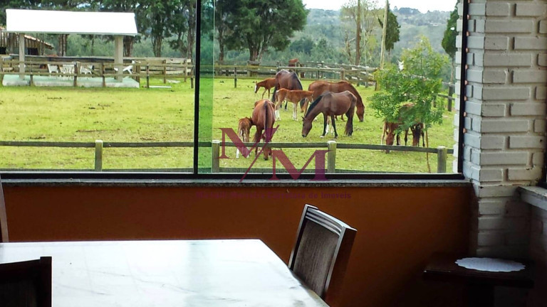 Imagem Chácara à Venda, em Porto Fino - Pontal Do Paraná Imagem Chácara à Venda, em Porto Fino - Pontal Do Paraná