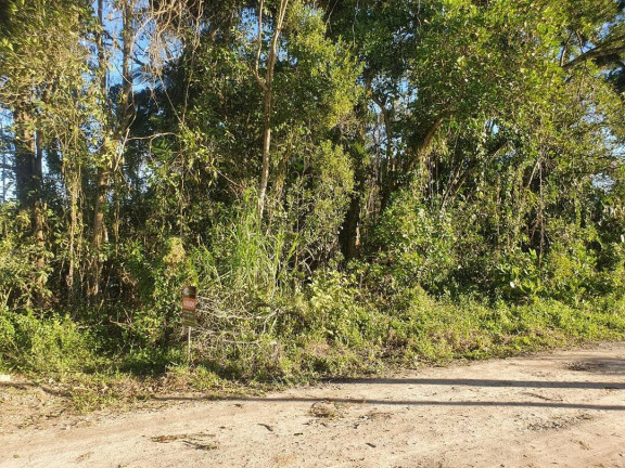 Imagem Terreno à Venda, 405 m² em Costeira - Balneário Barra Do Sul Imagem Terreno à Venda, 405 m² em Costeira - Balneário Barra Do Sul
