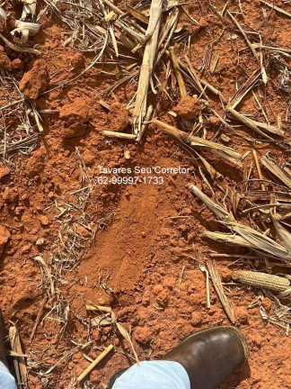 Imagem Imóvel à Venda, em Zona Rural - Porangatu Imagem Imóvel à Venda, em Zona Rural - Porangatu