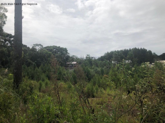 Imagem Terreno à Venda, 384 m² em Germânia - Nova Petrópolis Imagem Terreno à Venda, 384 m² em Germânia - Nova Petrópolis