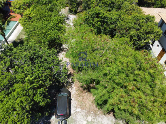 Imagem Terreno à Venda, 350 m² em Praia Do Forte - Mata De São João Imagem Terreno à Venda, 350 m² em Praia Do Forte - Mata De São João